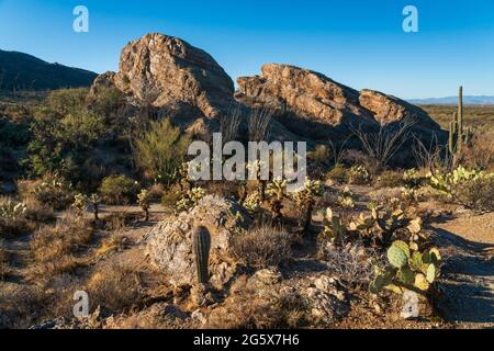 Boulders and Landscape im Saguaro National Park im Süden Arizonas Stockfoto