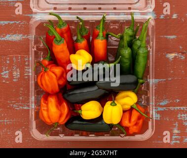 Grundansicht von verschiedenen Chilischoten in einem durchsichtigen Plastikkarton auf braunem und blauem Holzhintergrund. Stockfoto