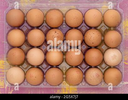 Grundansicht von 24 braunen Eiern in einem durchsichtigen Plastikkarton auf einem rosa und gelben Holzhintergrund. Stockfoto