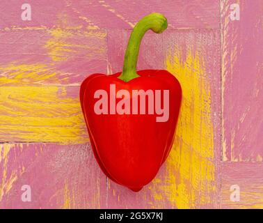 Grundansicht einer roten Paprika auf einem rosa-gelben Holzhintergrund. Stockfoto