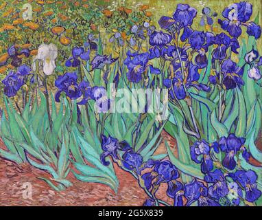 Irises von Vincent Van Gogh 1889. Getty Museum in Los Angeles, USA Stockfoto
