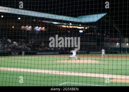 Selektiver Fokus auf Baseballfoul Ball Sicherheitsnetz. Stockfoto