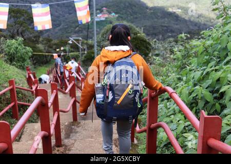 Wanderendes Mädchen, das die Treppe hinunter geht Stockfoto