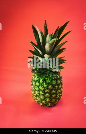 Tropischer Sommer Hintergrund. Ananas auf rosa Hintergrund. Lebensmittelkonzept. Minimal. Stockfoto