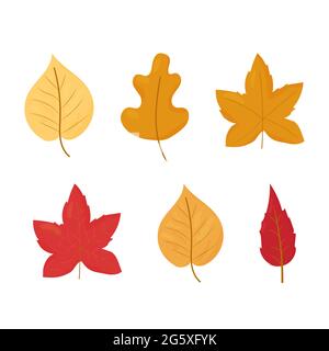 Set von Herbst, Herbst hinterlässt verschiedene Farben und Formen isoliert auf weißem Hintergrund Stock Vektorgrafik. Vektorgrafik Stock Vektor