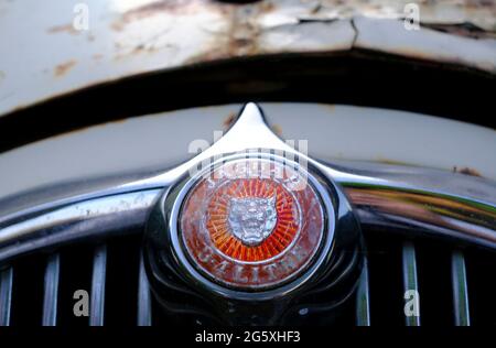 Silbey, Leicestershire, Großbritannien. Juni 2021. Ein verfaulter Jaguar 3.4 S-Type befindet sich auf einer Auffahrt. Die Jaguar S-Type Limousine wurde von Jaguar Cars i produziert Stockfoto