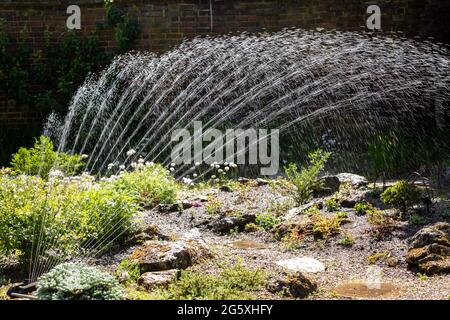 Gartenregner, der im Sommer einen Garten bewässert Stockfoto