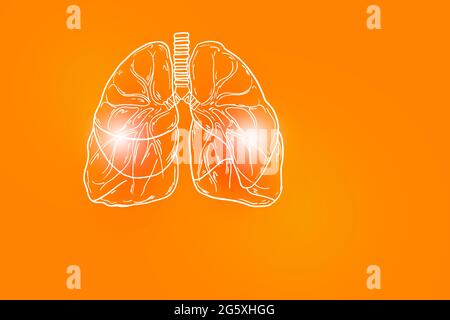 Von Hand gezeichnete Illustration der menschlichen Lunge auf positiv orangefarbenem Hintergrund. Medizin, Wissenschaftsset mit menschlichen Hauptorganen mit leerem Kopierraum für Text oder Info Stockfoto
