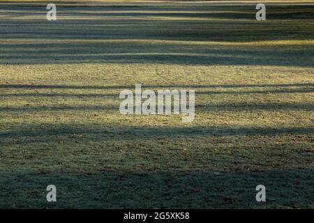 Morgendliches Spiel der Schatten und des Rauhfrosts auf dem Rasen. Stockfoto