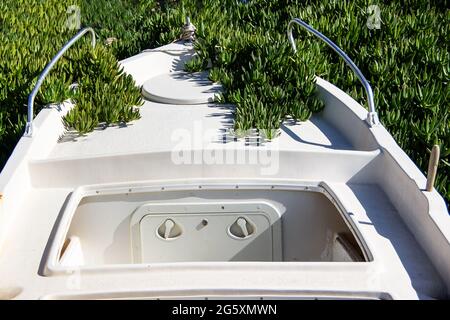 Ein verlassenes Motorboot, das mit Gras an der Küste überwuchert ist Stockfoto