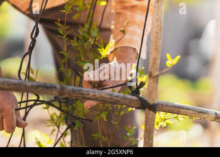 Detaillierte Ansicht der Hände älterer Menschen bei der Arbeit. Selektiver Fokus. Stockfoto