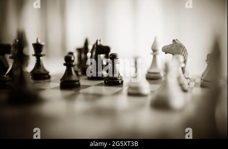 Schachfiguren aus Holz auf dem Schachbrett. Intellektuelles Spiel -Schach. Schachfiguren auf dem Brett. Stockfoto