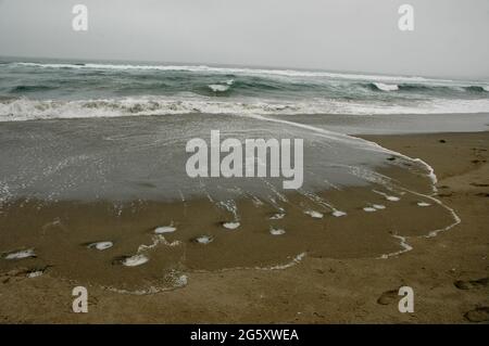 Fußabdrücke im Strandsand, hervorgehoben durch weißen Wellenschaum an der Bodega Bay California Stockfoto