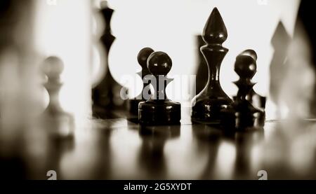 Schachfiguren aus Holz auf dem Schachbrett. Intellektuelles Spiel -Schach. Schachfiguren auf dem Brett. Ein Schachspiel. Silhouetten von Schachfiguren. Stockfoto