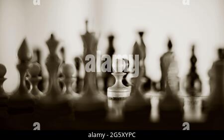 Weiße Bauern und Silhouetten von Schachfiguren. Schachfiguren aus Holz auf dem Schachbrett. Intellektuelles Spiel -Schach. Schachfiguren auf dem Brett. Ein Spiel der ches Stockfoto