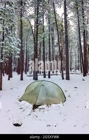 Camping im Schnee auf dem Mogollon Rim, Mormon Lake, Arizona, USA Stockfoto