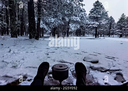 Camping im Schnee auf dem Mogollon Rim, Mormon Lake, Arizona, USA Stockfoto