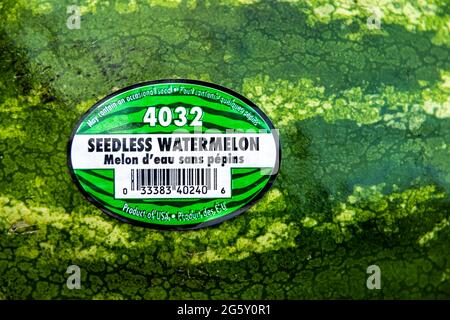 Nellysford, USA - 29. April 2021: Nahaufzeichnungsmakro für kernlose Wassermelonen-Label-Marke Obst-Aufkleber und Text für Produkt der usa aus Florida Stockfoto