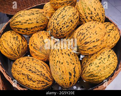 Nahaufnahme von gelb gestreiften reifen türkischen Melonen, saisonalen Sommerfrüchten, Bio-Bauernprodukten, natürlichem Hintergrund. Casaba Melon. Selektiver Fokus Stockfoto