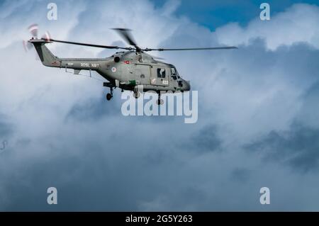 Ein Westland Lynx HAS3 gehört zu 815 Naval Air Squadron des Royal Navys Fleet Air Arm der Lynx diente bei der Royal Navy von 1981 bis 2017, als es erfolgreich im Dienst von der Wildcat Stockfoto