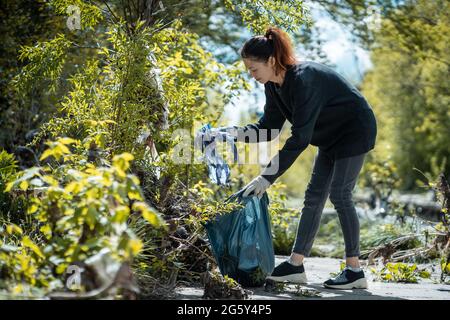 Freiwillige weibliche Reinigung von Park und Baum aus Plastikmüll Mit Müllbeutel Stockfoto