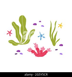 Unterwasserpflanzen und Korallen, Set mit Meerestieren für Stoff, Textil, Tapete, Kinderzimmer Dekor, Drucke, Kindlicher Hintergrund. Vektor Stock Vektor