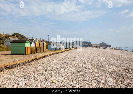 Kiesstrand und bunte Hütten in Budleigh Salterton, einer malerischen, unberührten kleinen Stadt an der Jurassischen Küste in East Devon, Südwestengland Stockfoto