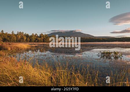 Teich in der Nähe von Baxter State Park, Maine Stockfoto