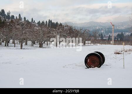 Winter Apfelplantage Landschaft mit einem Windturbinengenerator in der Szene und alten Bauernhof Reifen mit Schnee und Berge im Hintergrund. Stockfoto
