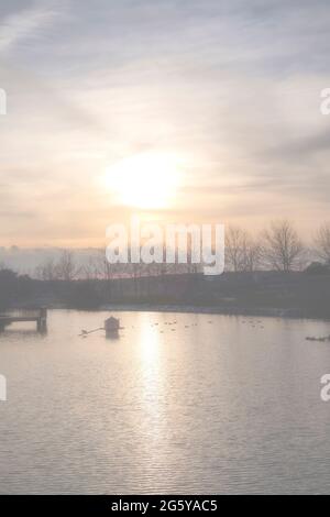 Ein See umgeben von Bäumen mit Enten auf dem Wasser und ein Vogelhaus in einem nebligen Sonnenaufgang, vertikal Stockfoto