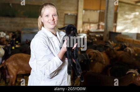 Bäuerin, die sich um Ziegenlinge kümmert Stockfoto