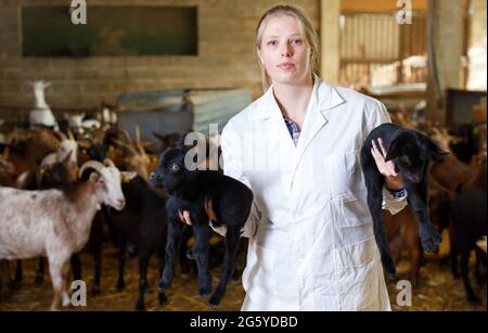 Bäuerin, die sich um Ziegenlinge kümmert Stockfoto