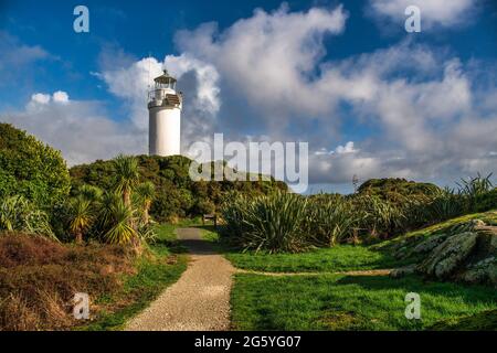 Der Leuchtturm, umgeben von Bäumen und Pflanzen unter dem hellen bue-Himmel, am Gipfel des steilen Küstenwanderweges zum Cape Foulwind Westport Stockfoto