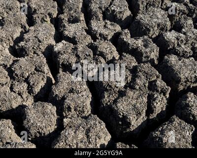 Eine strukturierte Ansicht des getrockneten Boden im Selous Game Reserve. Stockfoto