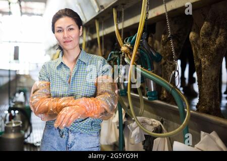 Frau, die an der Melklinie auf dem Bauernhof arbeitet Stockfoto