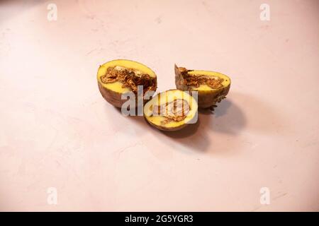 Schlechte Kartoffeln durch Fäule und Pilz betroffen. Kartoffelkrankheiten. Verderb von Kartoffeln durch unsachgemäße Lagerung. Stockfoto