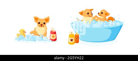 Hundepflege in einer Badewanne mit Gummiente und Shampoo. Set mit chihuahua in Seifenschaum isoliert auf weißem Hintergrund. Vektor-Illustration in niedlich Stock Vektor