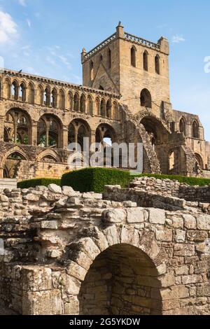 Die Ruinen der Jedburgh Abbey, Scottish Borders, Schottland, Großbritannien Stockfoto