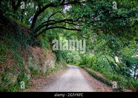 Truro in Cornwall, Großbritannien Stockfoto