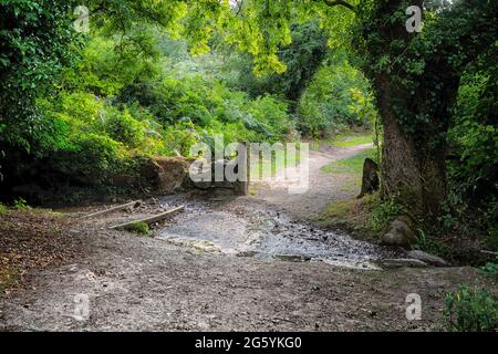 Truro in Cornwall, Großbritannien Stockfoto