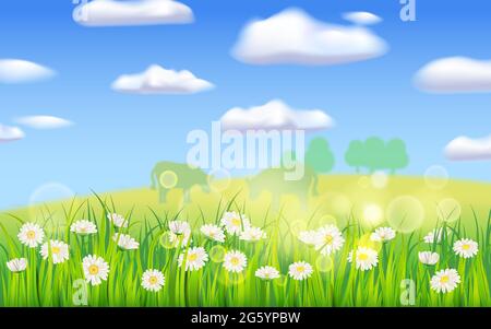 Frühlingslandschaft ländliche Landschaft, blühende Gänseblümchen, ländliche Natur. Panorama Frühling grüne Felder, blauer Himmel. Vektorhintergrund Stock Vektor
