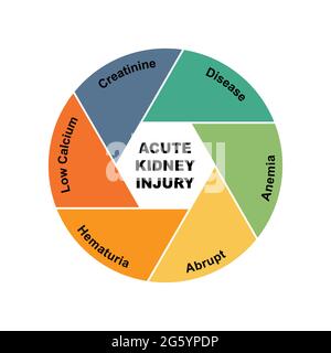 Diagrammkonzept mit Text und Schlüsselwörtern zur akuten Nierenschädigung. EPS 10 isoliert auf weißem Hintergrund Stock Vektor