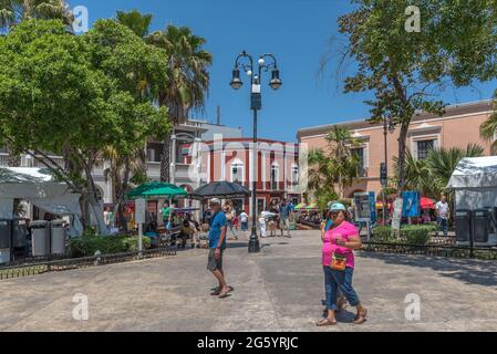 plaza de la independencia das Straßenfestival merida en domingo, merida, mexiko Stockfoto