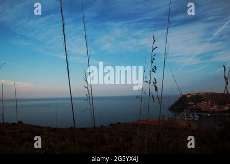 Landschaft (Monte argentario, toskana) mit Grashalmen im Vordergrund Stockfoto