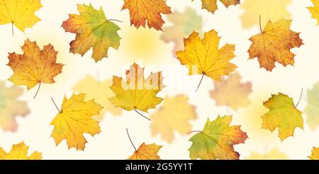 Herbst Blätter nahtloses Muster. Bunte Herbst Ahorn Blätter flachen Hintergrund Textur Stockfoto