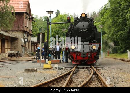 Alexisbad, Deutschland. Juli 2021. An einer Station im Selke-Tal steht ein Zug der Harzer Schmalspurbahn HSB. Nach der langen Pandemie-Pause nahm die HSB nun auch ihren Dampfbetrieb im Selke Valley wieder auf. Jedes Jahr reisen Zehntausende von Fahrgästen mit der Schmalspurbahn Harz durch die Region. Quelle: Matthias Bein/dpa-Zentralbild/ZB/dpa/Alamy Live News Stockfoto