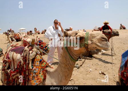 Touristen Kamel eine Pause an den Pyramiden von Gizeh, Kairo, Ägypten. Wüste Kamele ägyptischen heißen Klima Tiere arbeiten Stockfoto