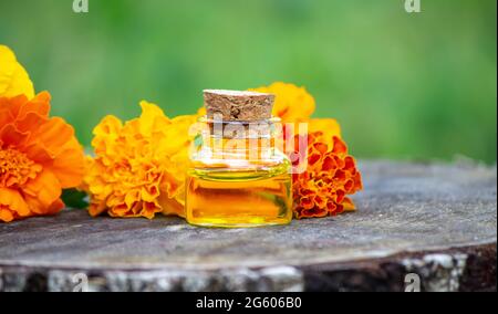 Ätherische Öle und medizinische Blumenkräuter. Selektiver Fokus Stockfoto