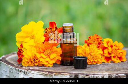 Ätherische Öle und medizinische Blumenkräuter. Selektiver Fokus Stockfoto