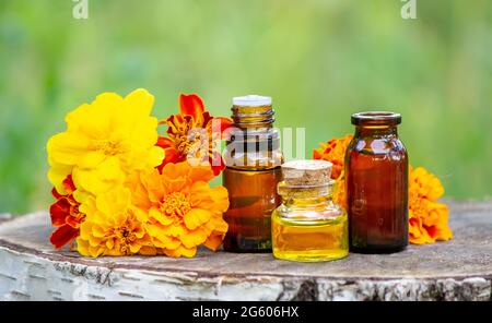 Ätherische Öle und medizinische Blumenkräuter. Selektiver Fokus Stockfoto